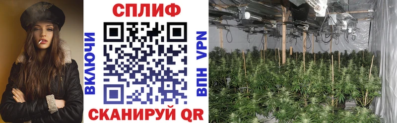 Купить закладку АМФ Альфа ПВП COCAIN ГАШИШ Меф Марихуана Лиски