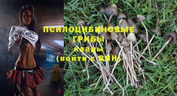 соль курить ск Иннополис