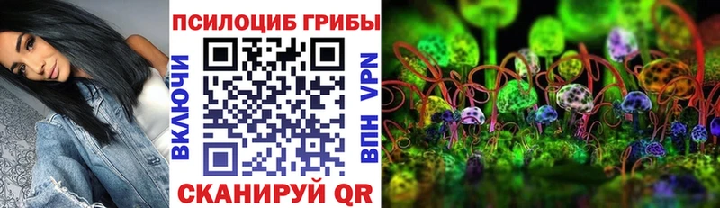 Псилоцибиновые грибы Cubensis  Купить  Лиски 